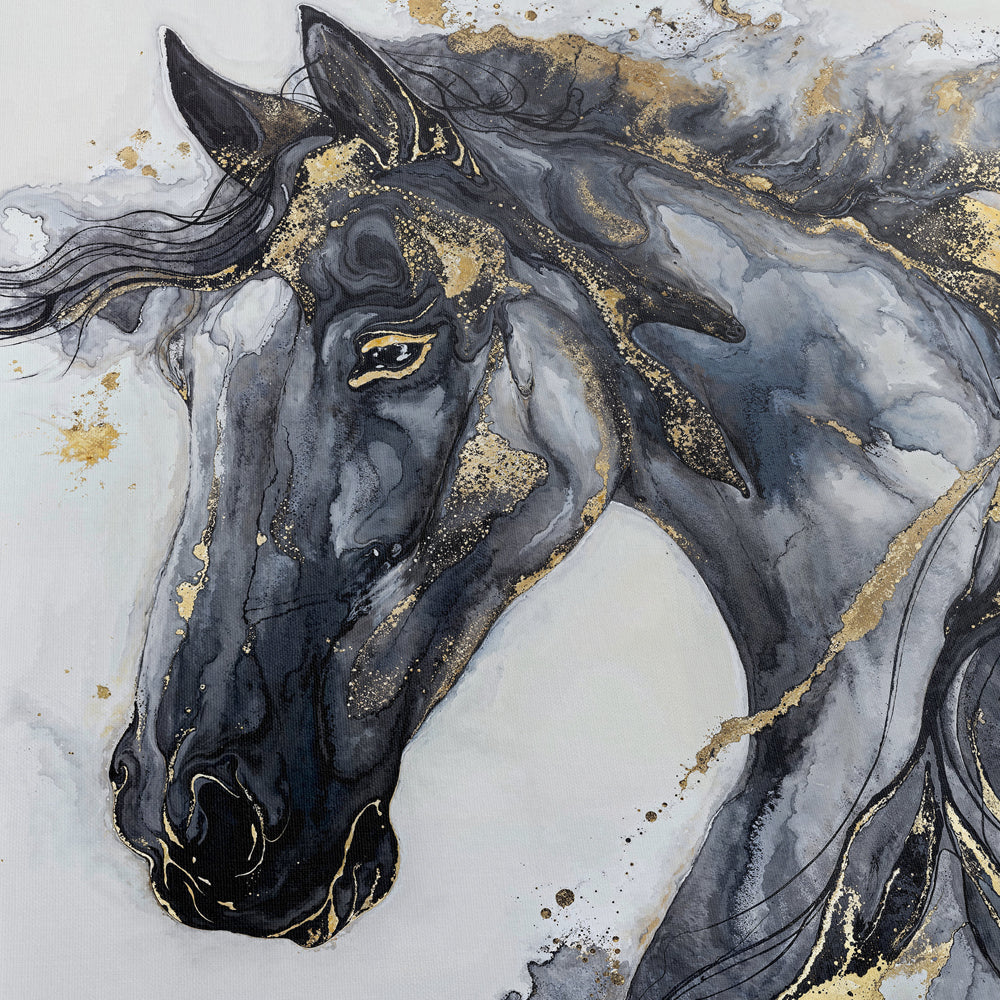 Liquid Stallion Graphite